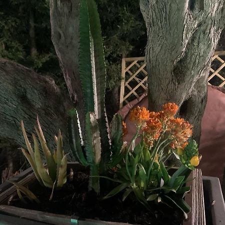B&B Villa Del Sole Relais Αγκριτζέντο Εξωτερικό φωτογραφία